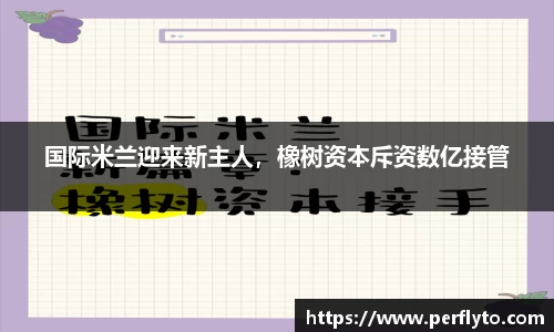 3377体育
