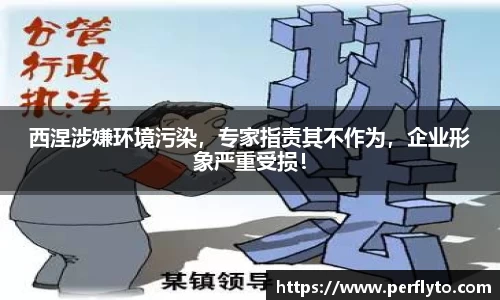 3377体育首页