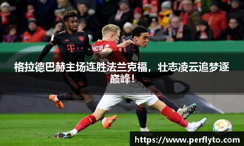 3377体育官网