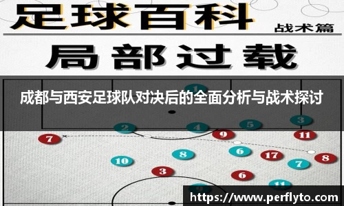 3377体育官网