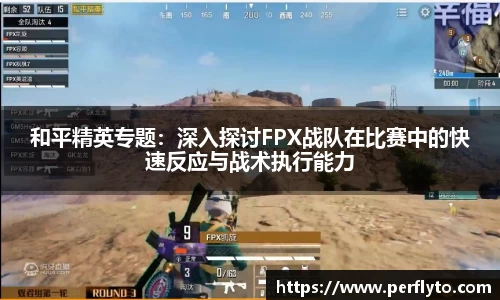 3377体育