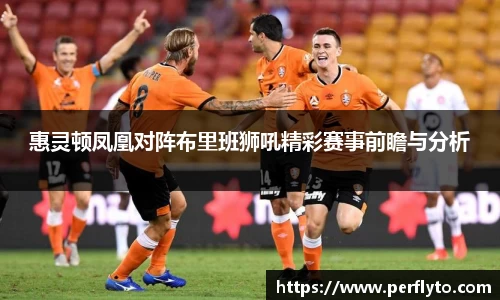 惠灵顿凤凰对阵布里班狮吼精彩赛事前瞻与分析