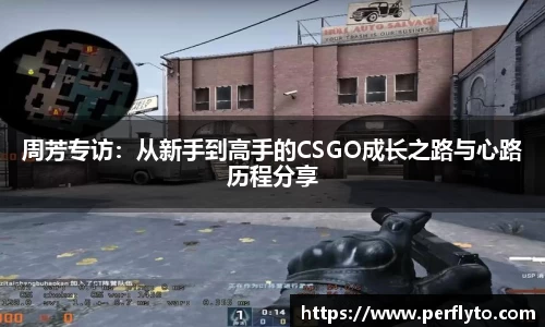 3377体育首页